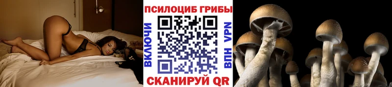 Псилоцибиновые грибы мицелий  Купить где  Белая Холуница 